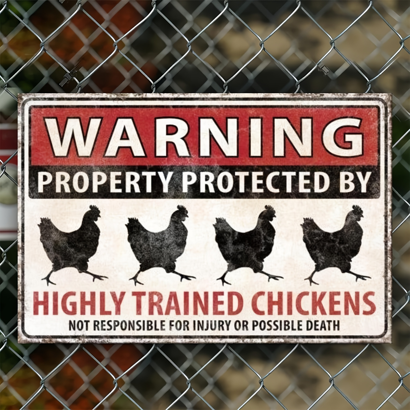 TEMU Panneau en bois 2D plat - Art mural d'avertissement humoristique "Poulets entraînés" de style vintage pour décoration 2D, convient aux élevages