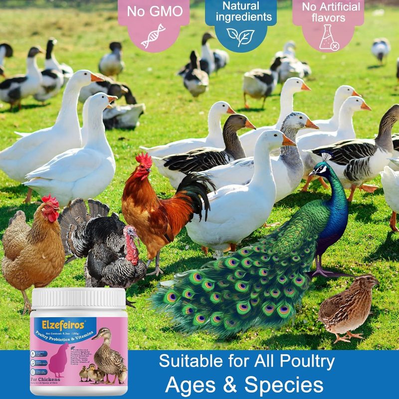 Chicken Probiotic Vitamin Supplement Immune Support Production, Digestive Aid and Hydration Support, Poultry Supplement Chickens and Ducks and All Ages of Birds(150g) - Image 7