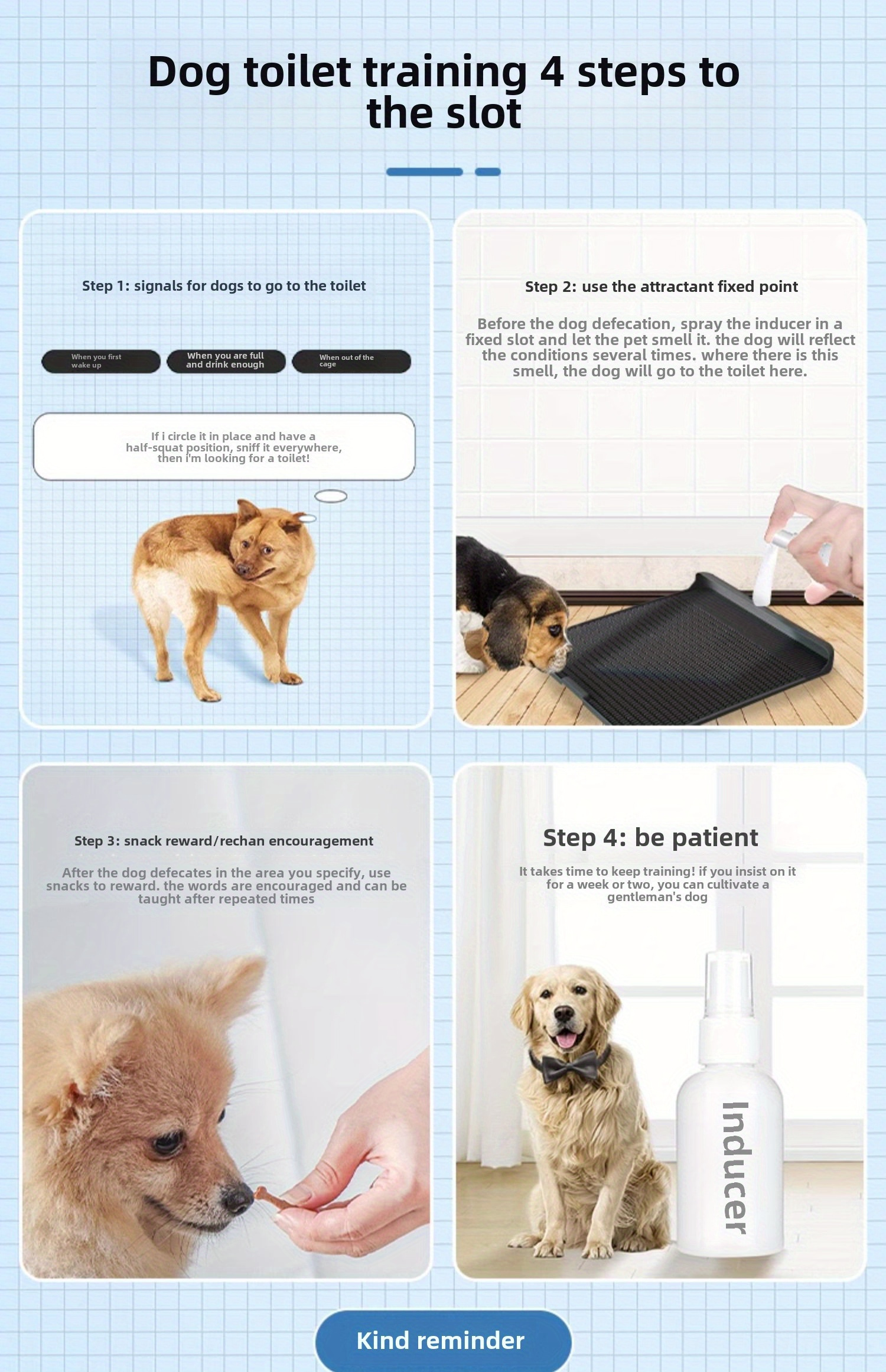 Raising Puppy Potty Training A Puppy While Working Full Time Potty