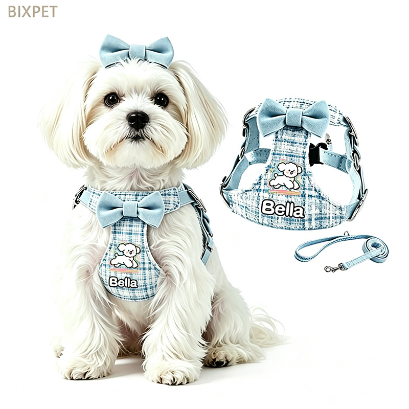 Name Bow-Decorated Harness & Leash for Small Dogs & Cats