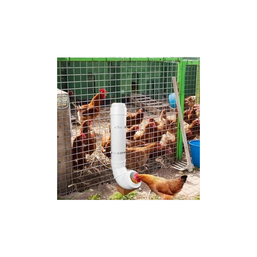 automatic chicken feeders sold on Temu United States