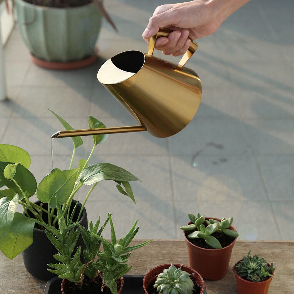 

Elegant Golden Stainless Steel Watering Can With Long Spout - 900ml, Rust-proof Metal Garden Tool For Indoor & Outdoor Plants