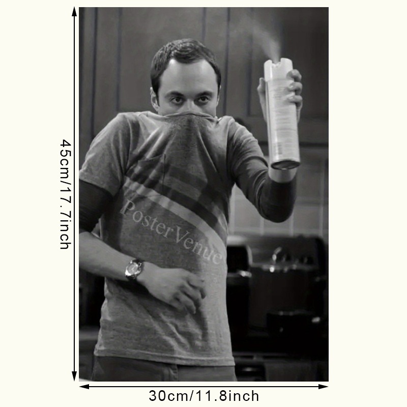 TEMU Plat 2D, 1 pièce Affiche Sheldon - Iconique TV, Convient pour Décoration de Chambre, de Bureau - Impression Rétro pour Fans de The Big Bang ,
