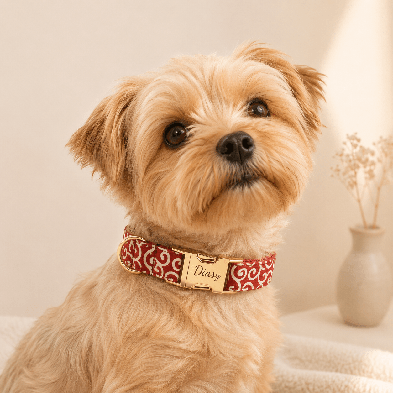 Floral Style Multi-Colored Dog Collar and Bow Leash Set
