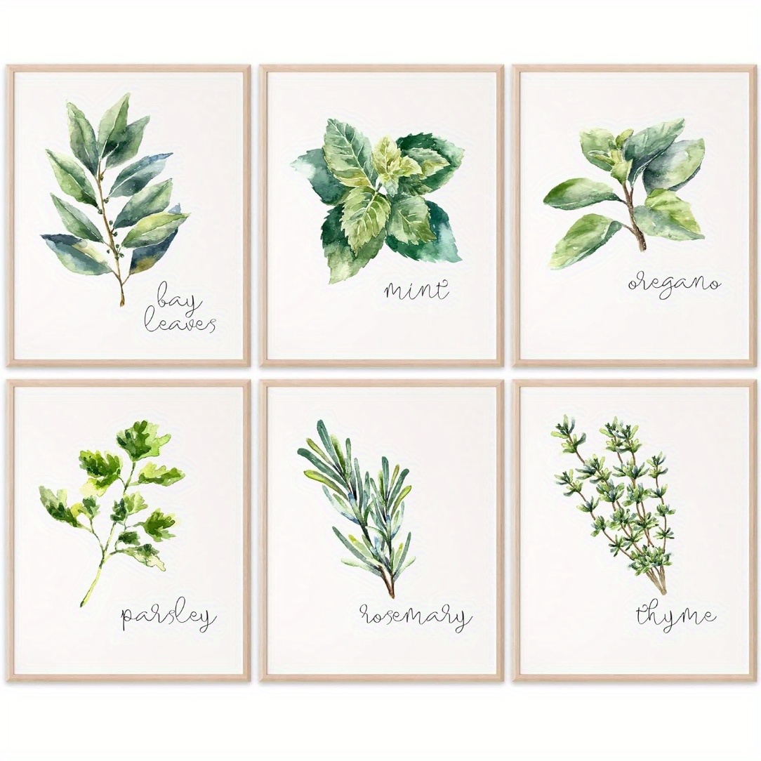 TEMU 2D Flache, 6 Stück Rahmenlose Küchenkraut-Kunstdrucke - Botanische Aquarellillustrationen von Rosmarin, , , , Oregano & Lorbeerblättern - 8x10