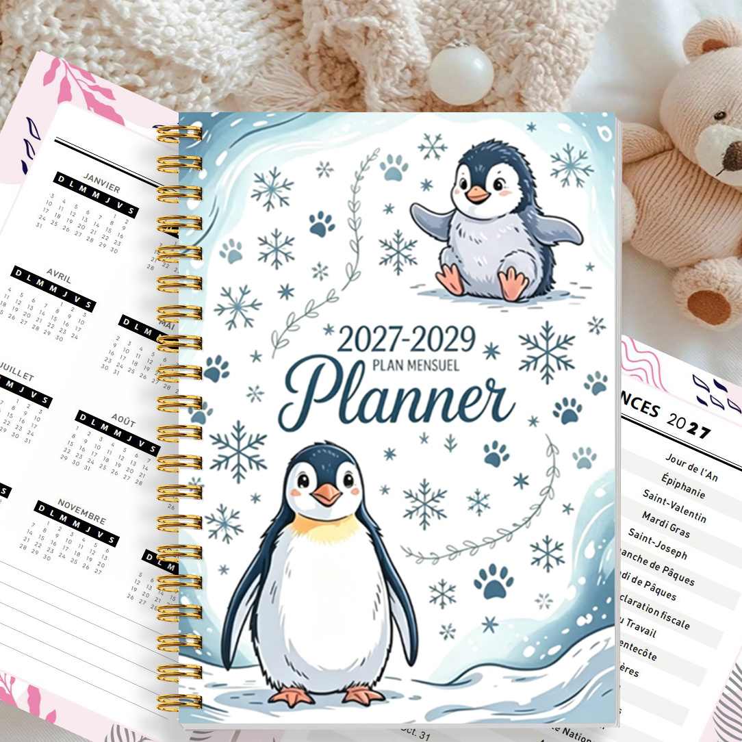 TEMU 1pc Record Books, 27-29 3 Year Planners - French Version, Ice And Snow , Suitable For Three-year Planning Notebooks, Monthly Planning Notebooks,