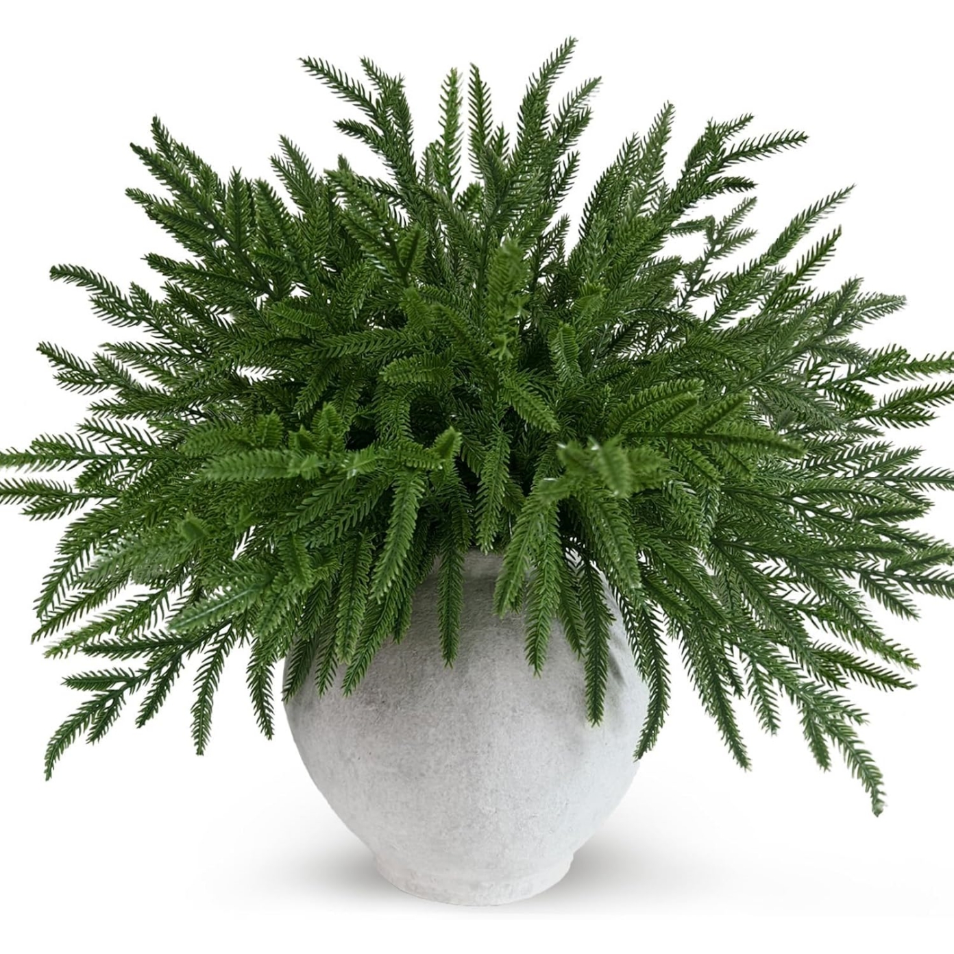TEMU 25 branches de pin de Norfolk artificielles de 13,7 pouces, , fausses branches de pin de Norfolk, ramilles pour vases, couronnes de Noël,