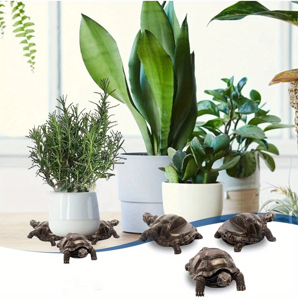 where to buy an aloe vera plant near me Aloe barbadensis main image 1