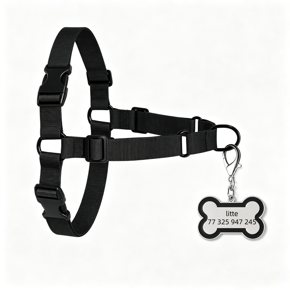 Customized Bone-Shaped Name Tag with Adjustable Nylon Leash