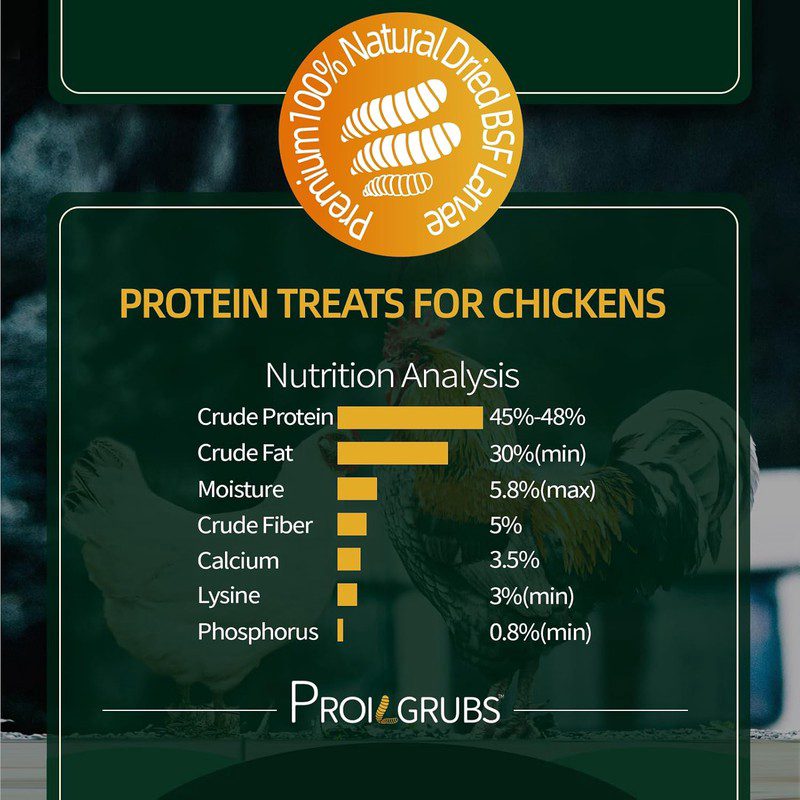 2.27 KG Dried Black Fly Larvae Treats (BSFL) - High-Protein Meal Worms Suitable for Chickens, Hens, Birds - Chicken Feed with Microwaved Drying (No Additives/Preservatives)