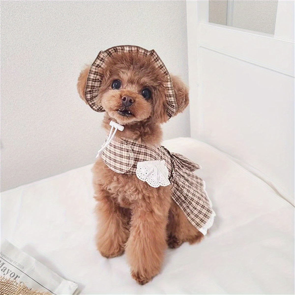 brown dog dress Smocked Daisy Dog Dress with Cooling Effect
