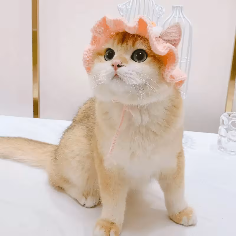 hat adjustable frog strawberry style cat hat suitable for cat and dog birthday hats holidays travel and photography soft and floral decoration breathable and comfortable headwear Product details 3