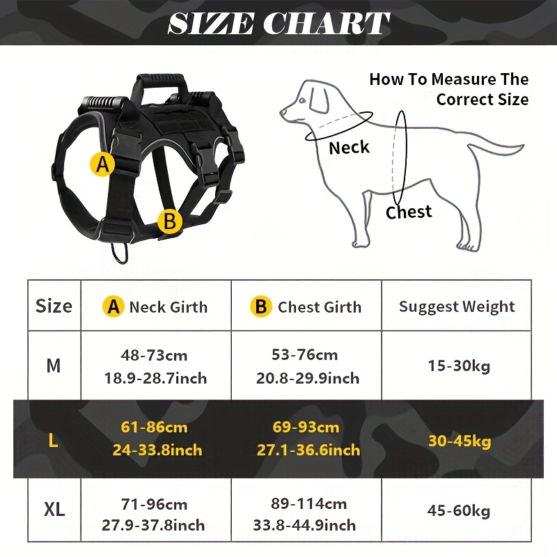 Professional-Grade All-Weather Pet Essentials Bundle