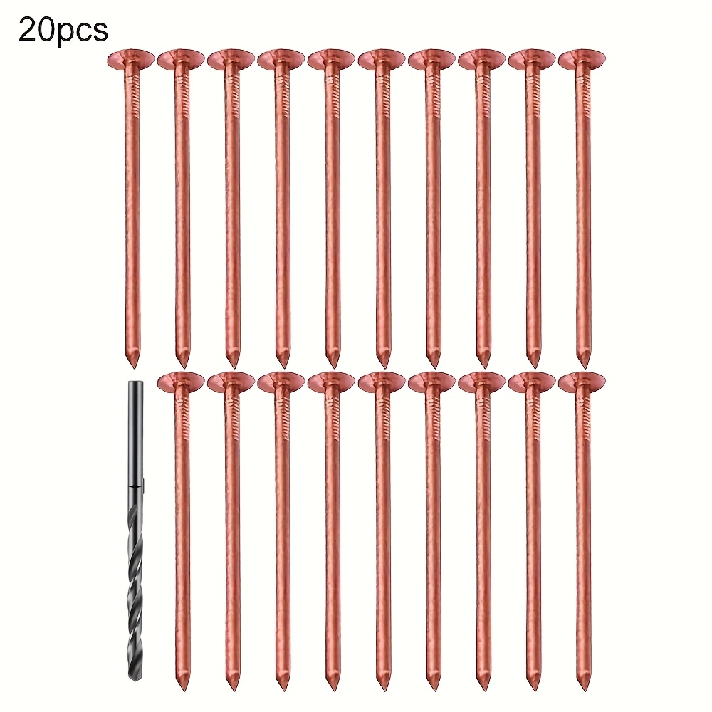 E-shop 20 Stk. Kupfernägel, Baumvernichtungsnägel, Baumstumpfentfernungsnägel, 19 Baumvernichtungsnägel ein Bohrer