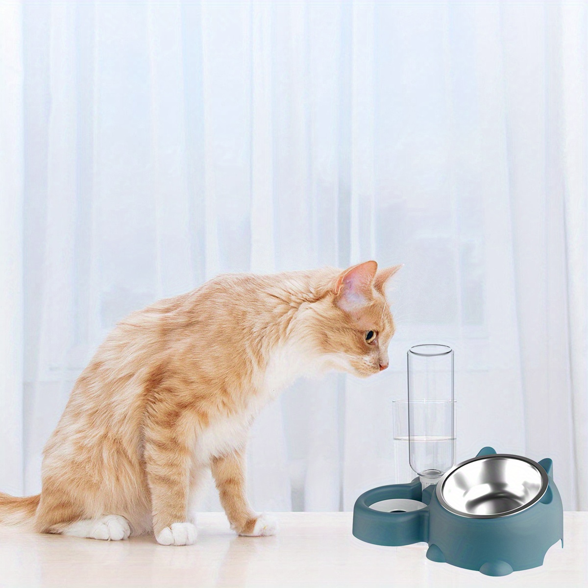 cats food water bowls set pet feeder - Temu