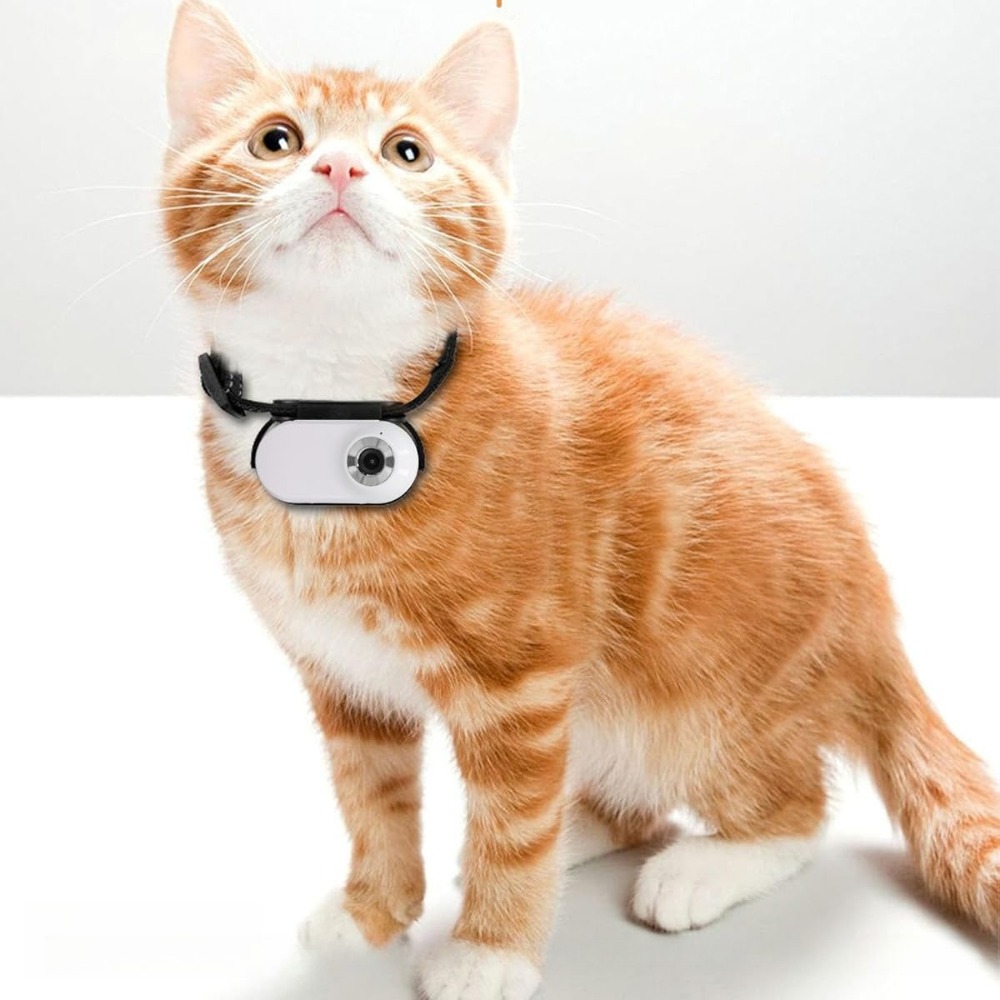 Image of Cat Neck Accessory With 170° Wide-angle Lens, Practical Gear For Recording And Observing Pet Daily Behaviors, Portable Pet Monitoring Accessory For Daily Use