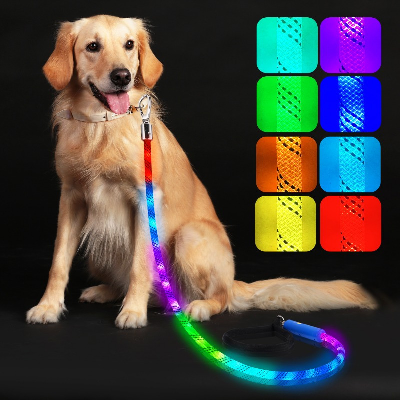 

16 Rechargeable - 1.2m Lighted Dog For Walking , Dog For Small Walking At