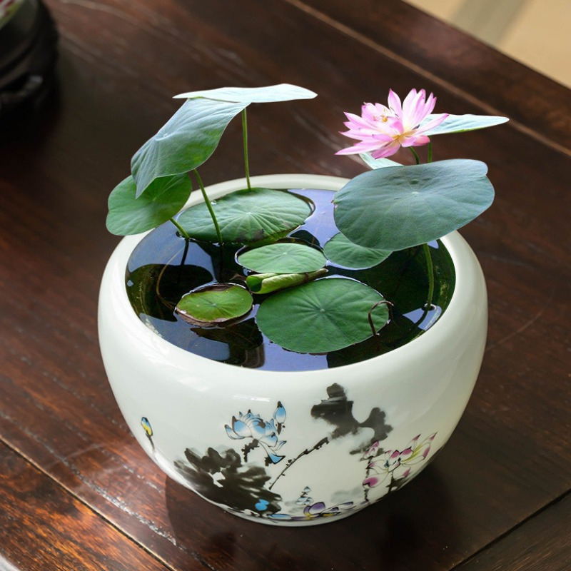 marble pothos plants Pothos Manjula main image 1