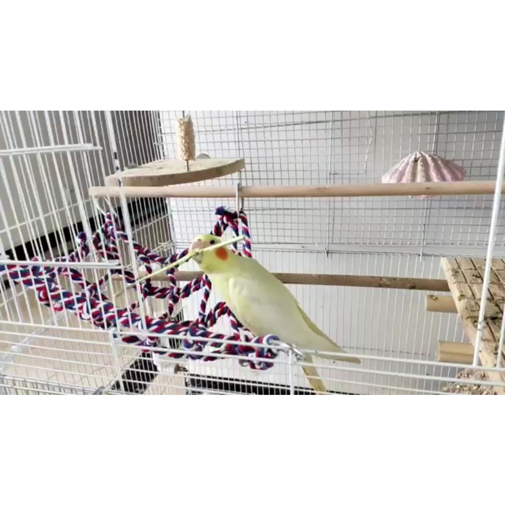 2-Pack Colorful Rope Bird Climbing Net Hammock