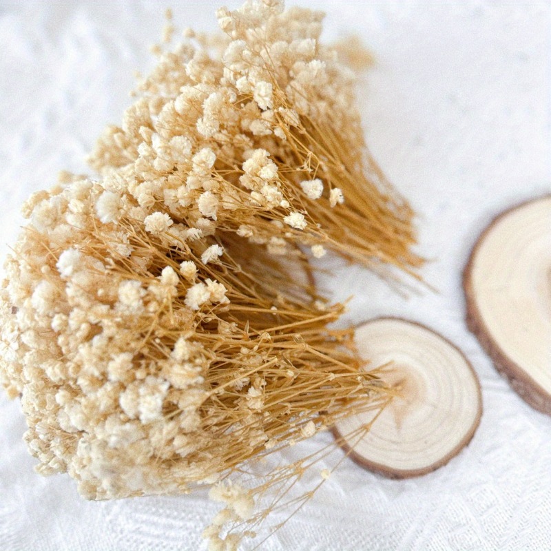 TEMU 101pcs Dried 's Breath | Perfect For Greeting Cards, Handmade Bouquets, Card Decorations, And Festive Occasions Like Thanksgiving And Christmas