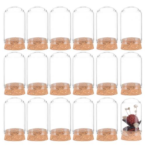 30pcs glass dome cloche cover bell jar with cork base for house container dried flower display decoration clear 30x57mm