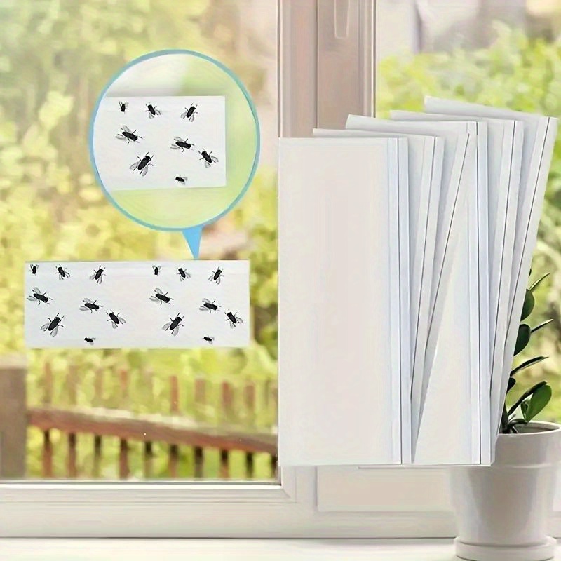    traps designed to catch pests like tiny flying bugs and moths   are   effective and quick   assist in maintaining a  