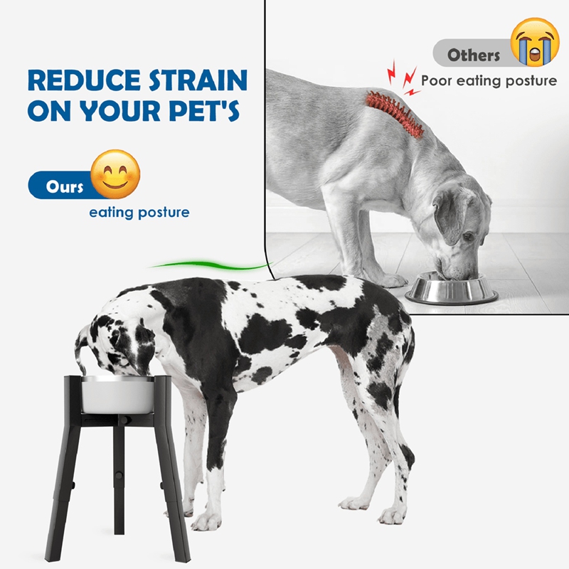 Adjustable Raised Dog Bowl Stand for Medium to Extra Large Dogs