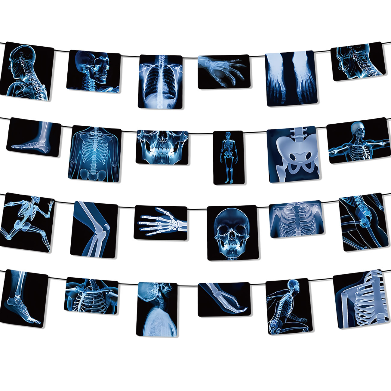 Image of 4 Strings Skeleton Banner Decorations, Medical Radiology Anatomy Garland With 24 Body Part Images For Doctor Nurse Graduation, Halloween Party, Clinic Classroom Science Decor