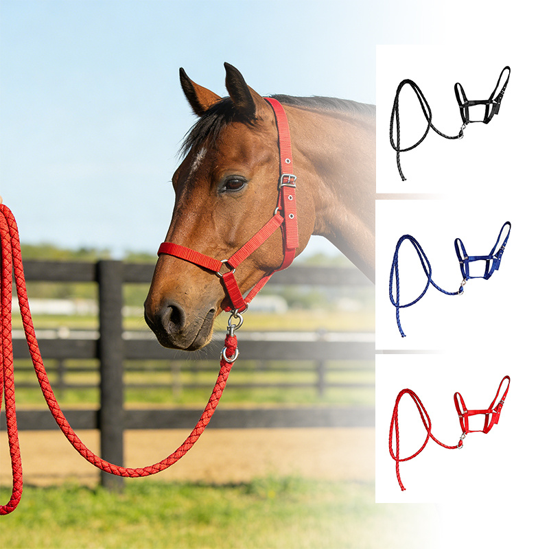 horse stuff sold on Temu United States