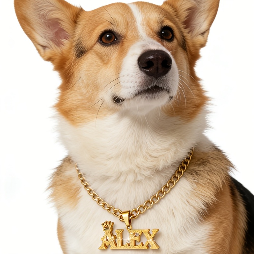 TEMU Custom Name Double-layer Dog Necklace Stainless Steel Cuban Chain Personalized Crown Bling Bling Nameplate Pendant Fashion Trend Pet Jewelry
