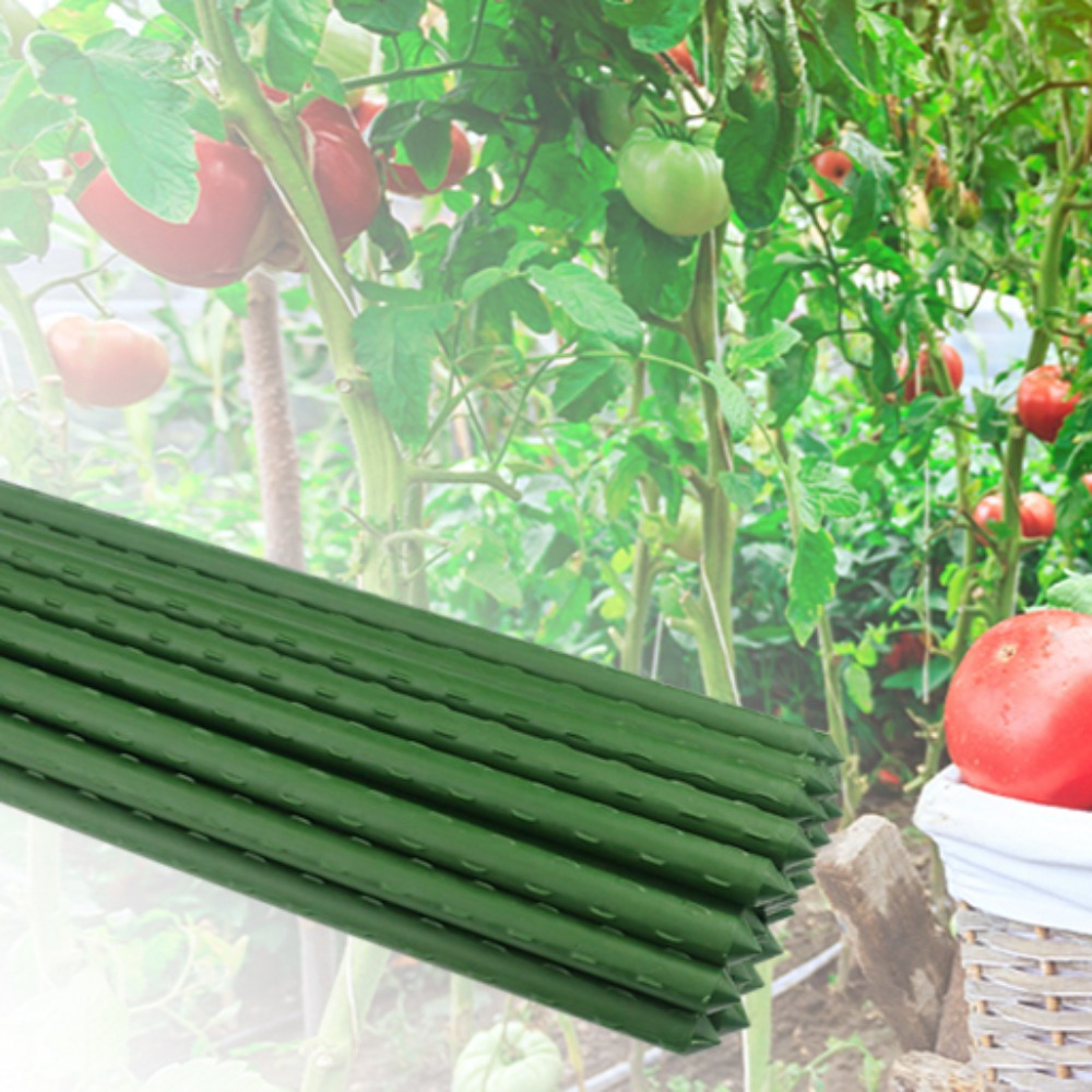 Sturdy Metal Garden Stakes