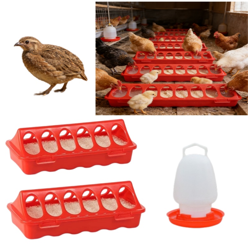 Image of 3pcs Set (2 Feeding Stations + 1 Water Feeder) For Poultry, 8-inch Plastic Lid-opening Chick Feeder With Waste Prevention And Leak-proof Design, Suitable For Chicks And Quails