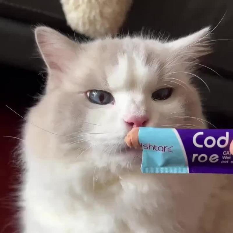 100pcs cat snacks one weighing 0 56oz 16g cat fattening nutrition strip 20 mixed cat strips in each of five flavors chicken egg yolk salmon fish roe cod fish roe abalone beef   roe Product details 2