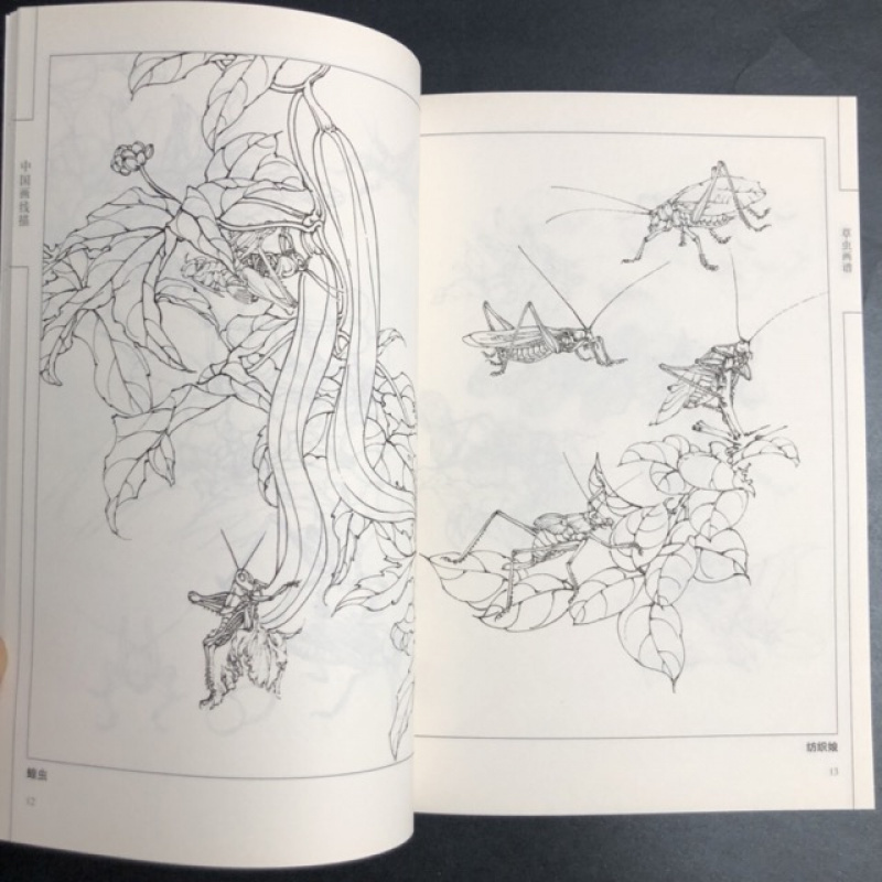 Chinese Line Drawing Grasshopper Painting Book: Beginner's Guide to Traditional Chinese Art, Sketching for Relax - DIY Coloring Book for Teens and Adults, Watercolor, Ink Wash, Oil Painting Chinese Version