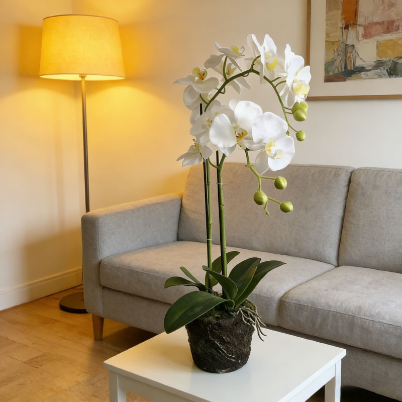 TEMU 2 Manojos de Orquídeas Blancas de 27 pulgadas | 18 Flores en Total, Flores Artificiales Realistas, Elegantemente Combinadas con un . Adecuadas