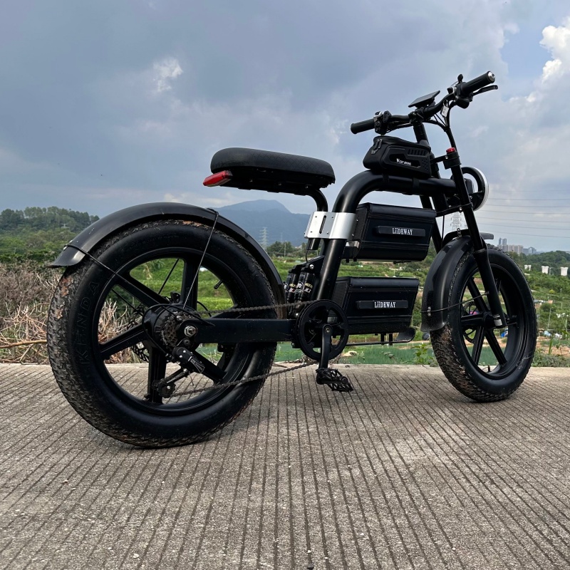 20inch Electric Bike for Adults, 101 Miles 20MPH Fast E Bike for Men, Tire Ebike for Adults Electric with 60V 2400WH Removable Battery, ON Off Road EBicycle with Brake Light, Electric Bike for Men, Electric Bike Foldable, Commuter Ebike