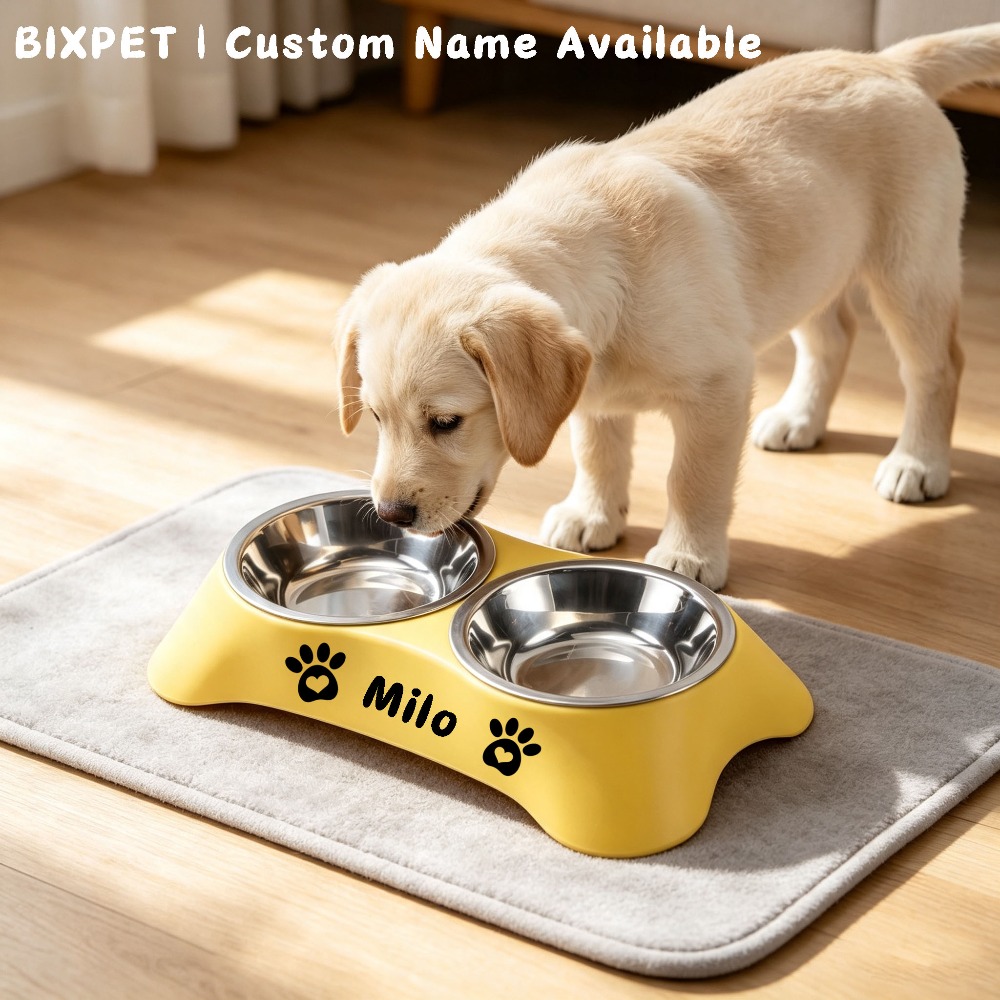 Customizable Stainless Steel Dog Bowl, Double Bowl Set