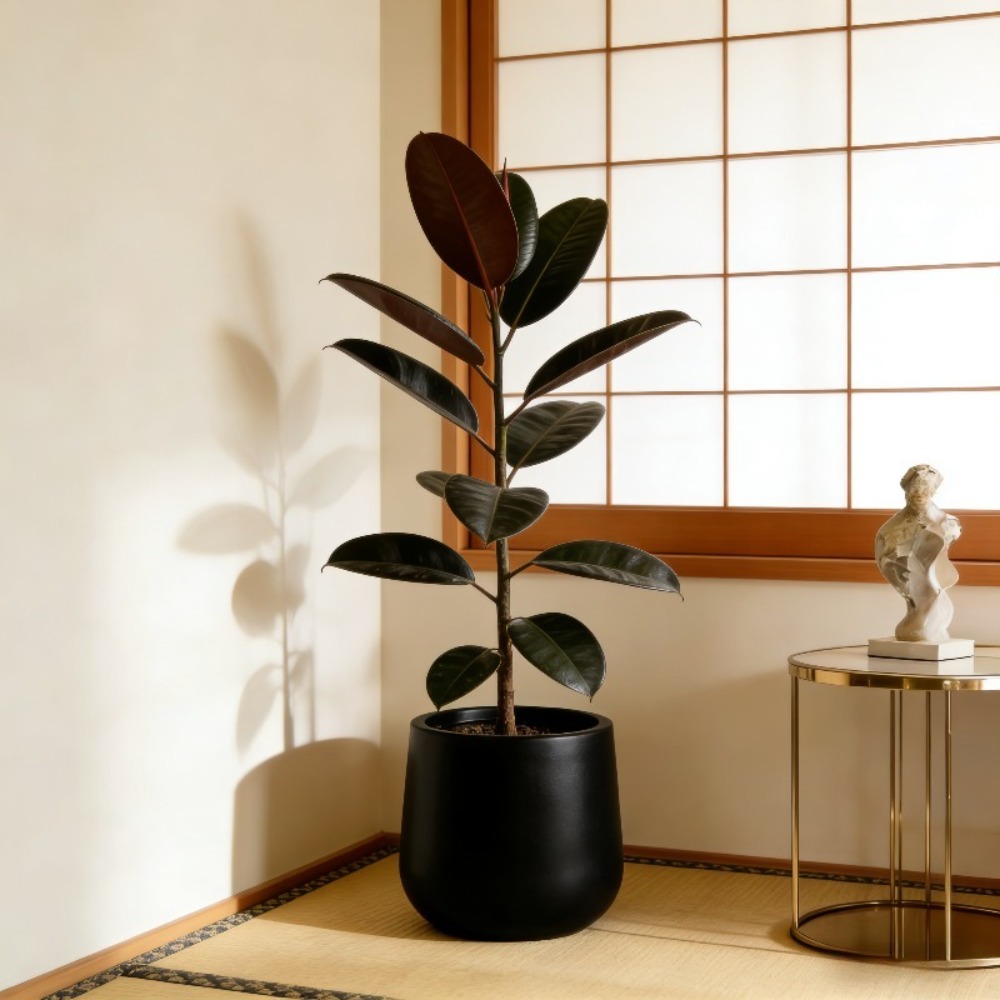 Large Nordic Modern Black Oval Planter Pot - Heavy-Duty Thickened Plastic Suitable for Indoor/Outdoor Use, Large -Standing Flower Pot For, Bonsai, Housewarming Gift, Wedding & Balcony Decor gardening gift home decor