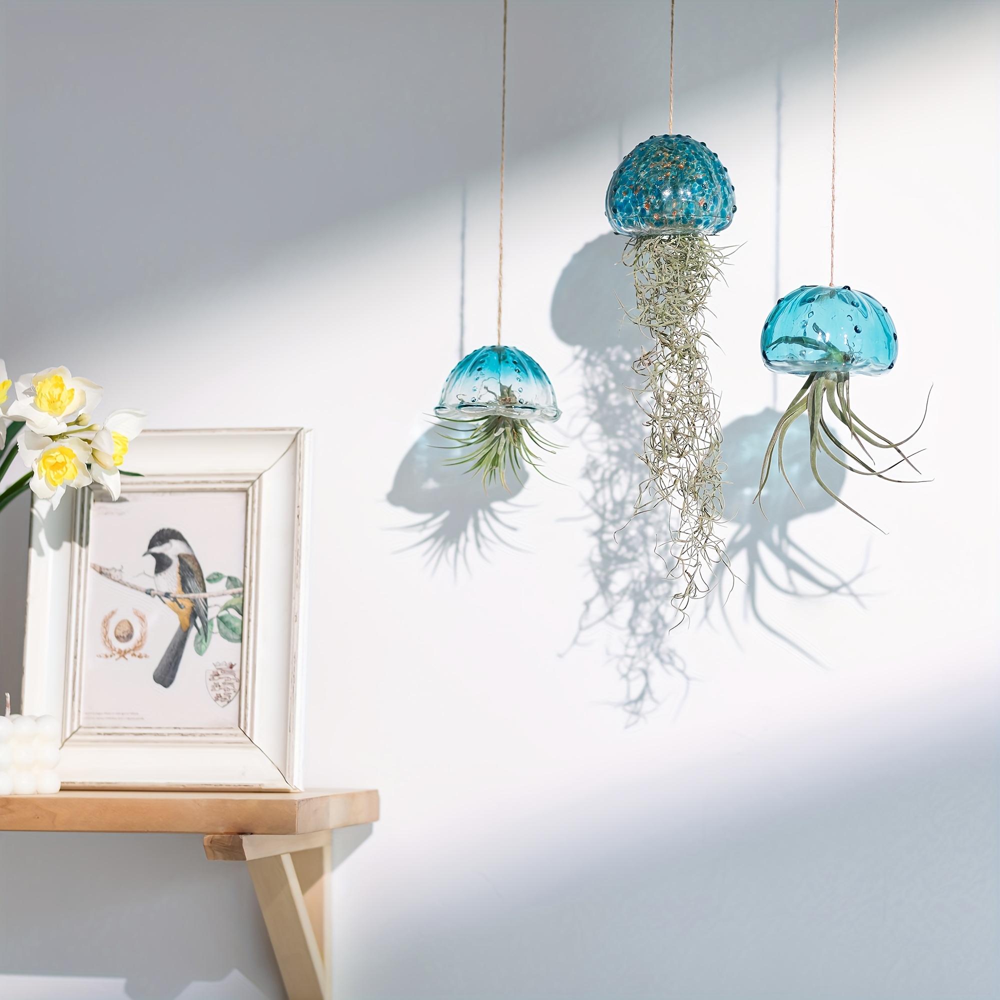 air plant holder sold on Temu United States