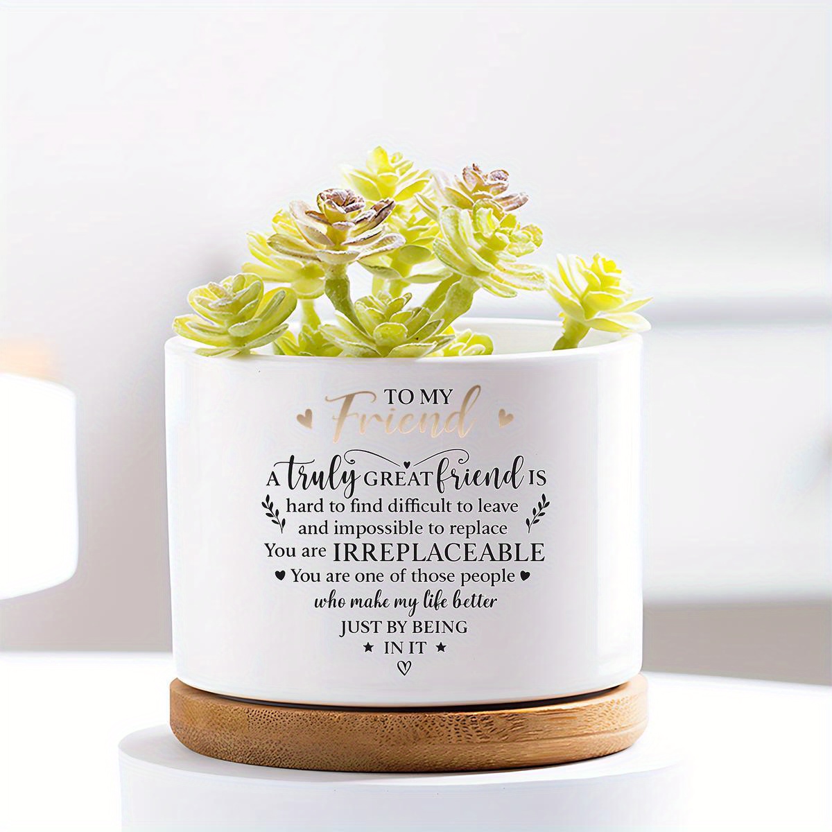 TEMU Garden Vase Plant Lover Gifts - Ceramic Planters For Best Friend, Girlfriend, - Ideal For Christmas, Halloween, Thanksgiving. Cute Planters Make