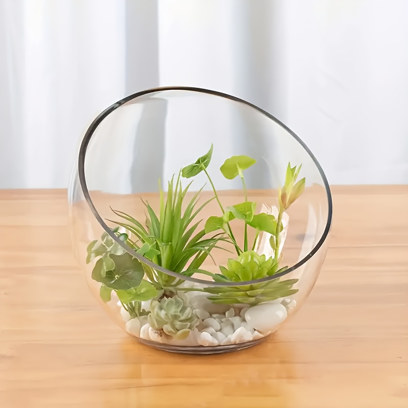 transparent glass vase miniature terrariums moss display