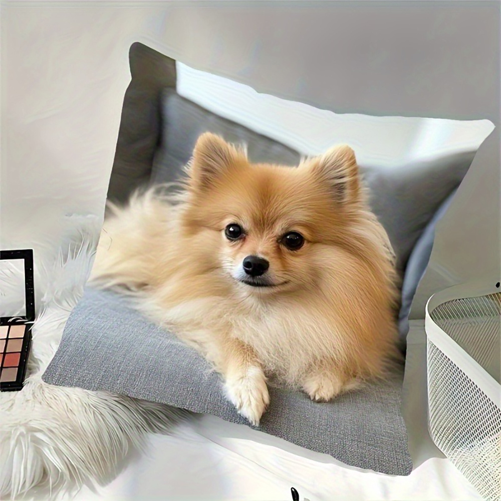 TEMU 1pc Adorable Pomeranian Dog Cushion Cover With Zipper Closure - Suitable For Home Decor, Pillowcase Suitable For Porch Or Bed, Machine Washable