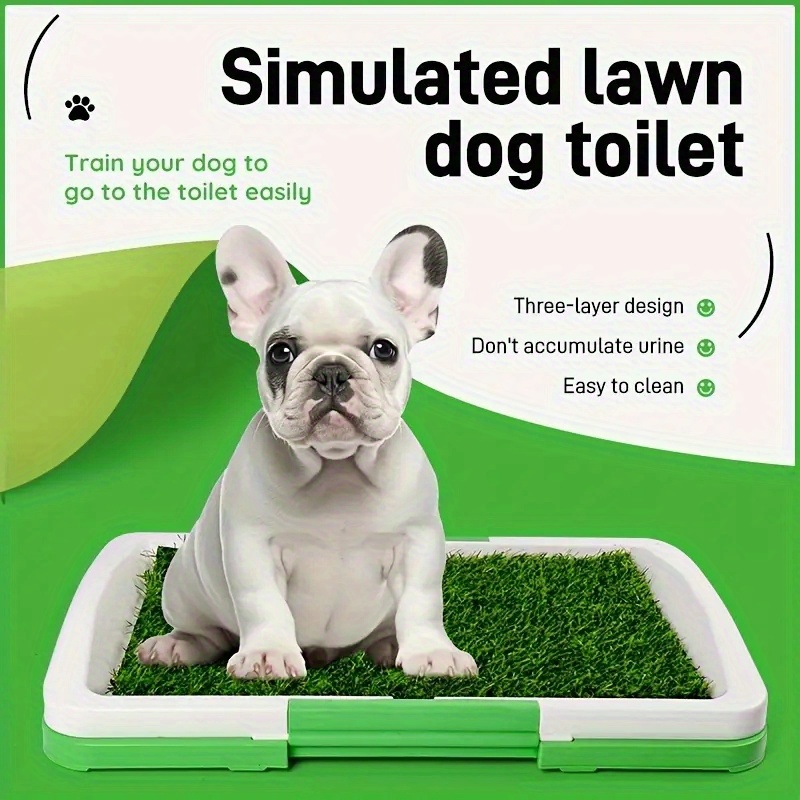 Indoor Dog Trouble Potty Training Dog Indoor Dog Training Toilet