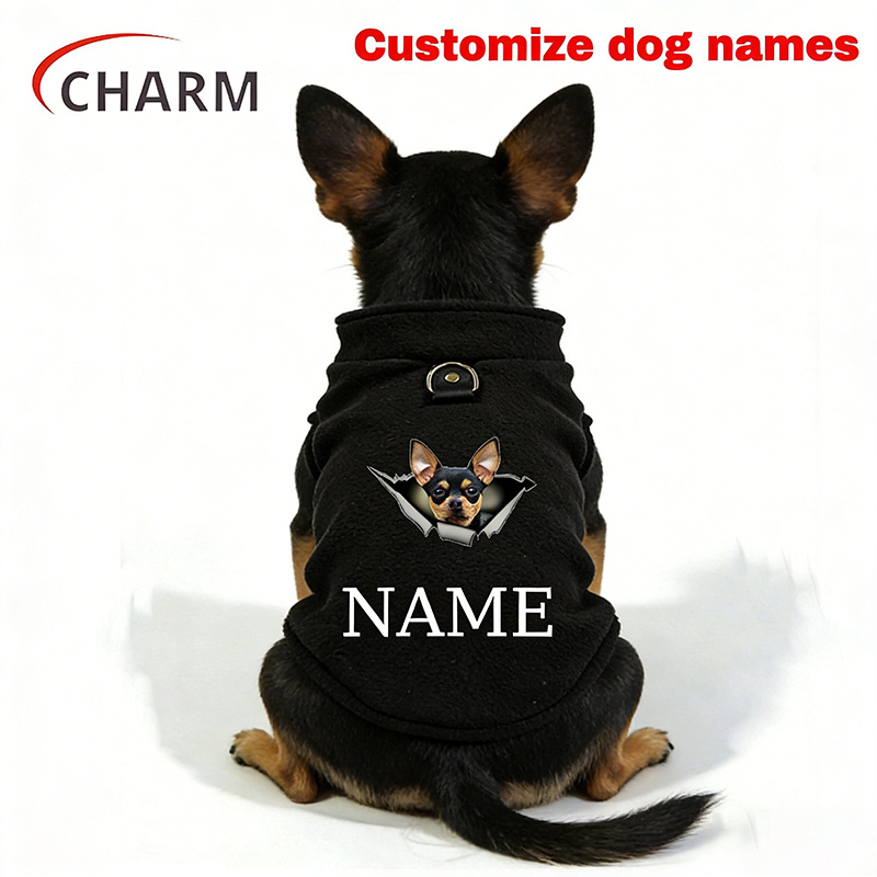 TEMU Veste pour chien Chihuahua 3D personnalisée avec nom et anneau en D, vêtements légers en pour animaux de compagnie, manteau manches et