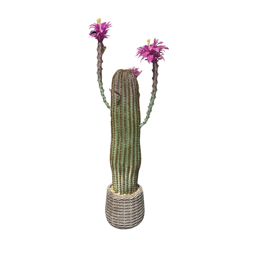 Image of Artificial Cactus Potted Plant Desert Fake Plant With Planter Realistic For Home Indoor Outdoor Decoration