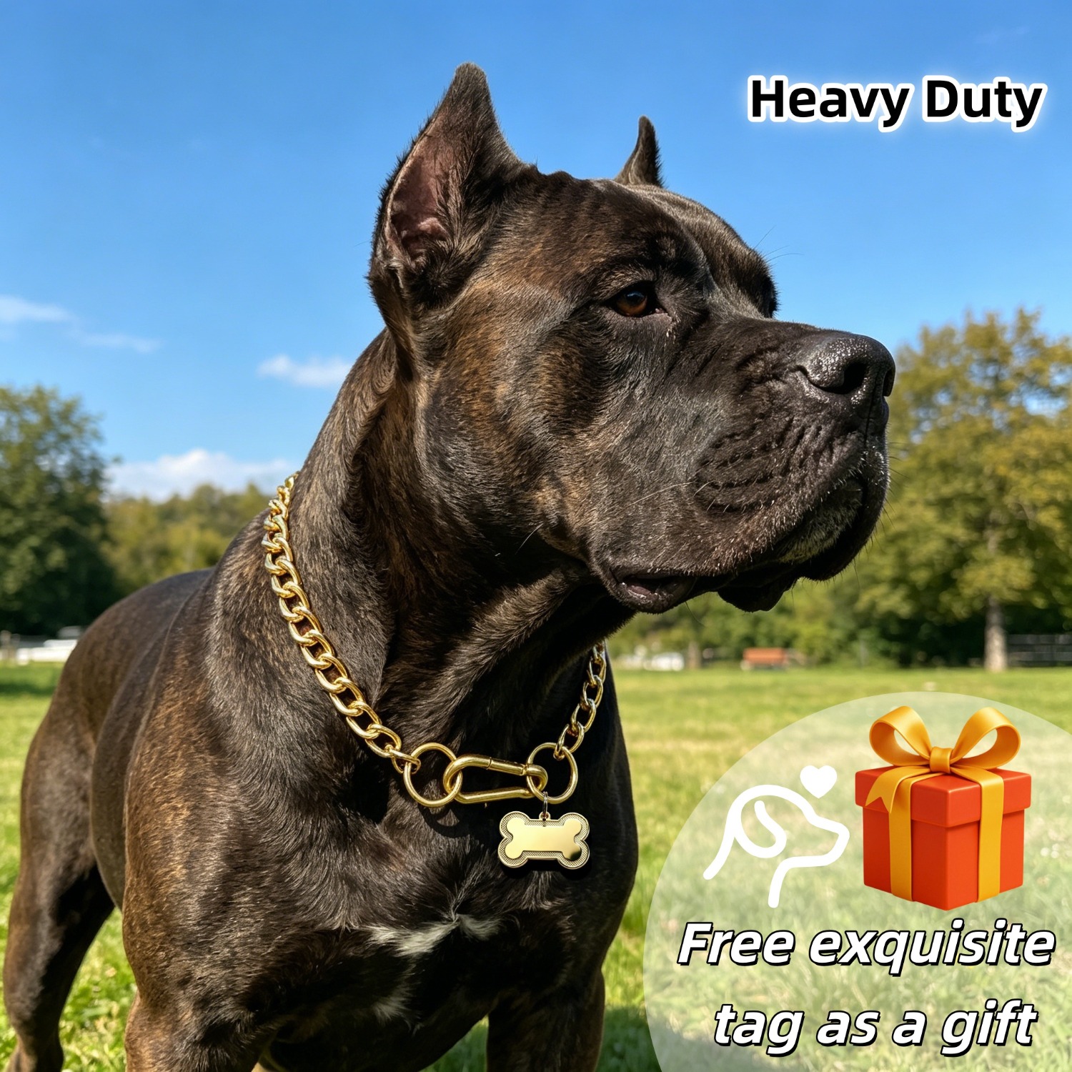 pitbull dog chain collar sold on Temu United States