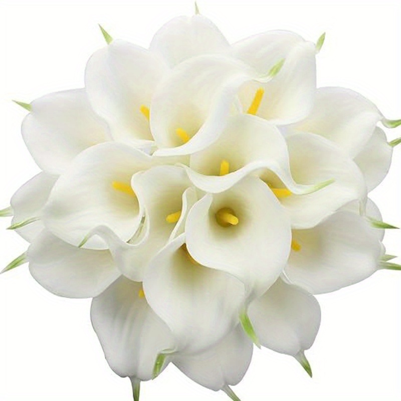 TEMU 20pcs Horseshoe Lotus Eternal Flower, Wedding Decoration Bouquet, Home Floral Additions, Eternal Flower , And Colorful, Very Suitable For