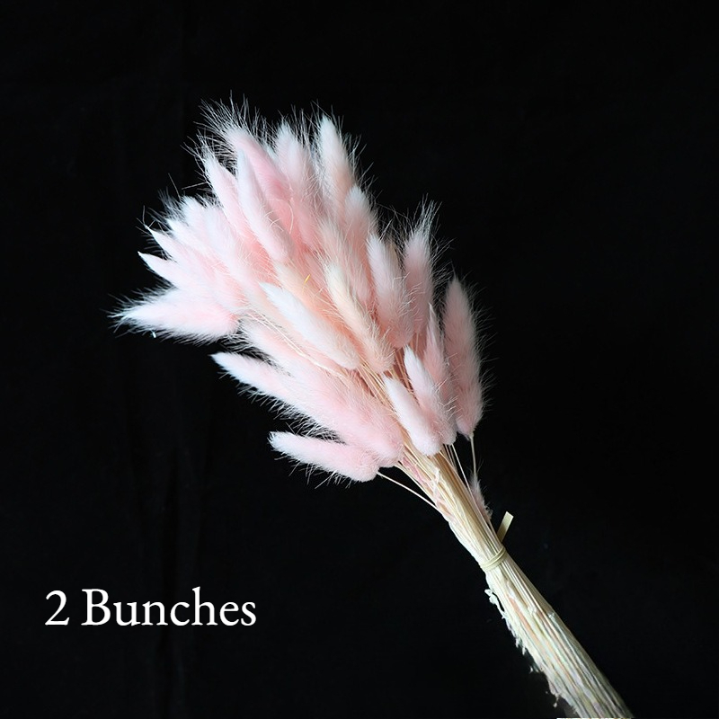 2 Bunches 120 Heads Natural Pampas Grass Decoration Reusable Diy Dried Flowers For Living Room Wedding Table Flowers Arrangements Home Decor No Vase