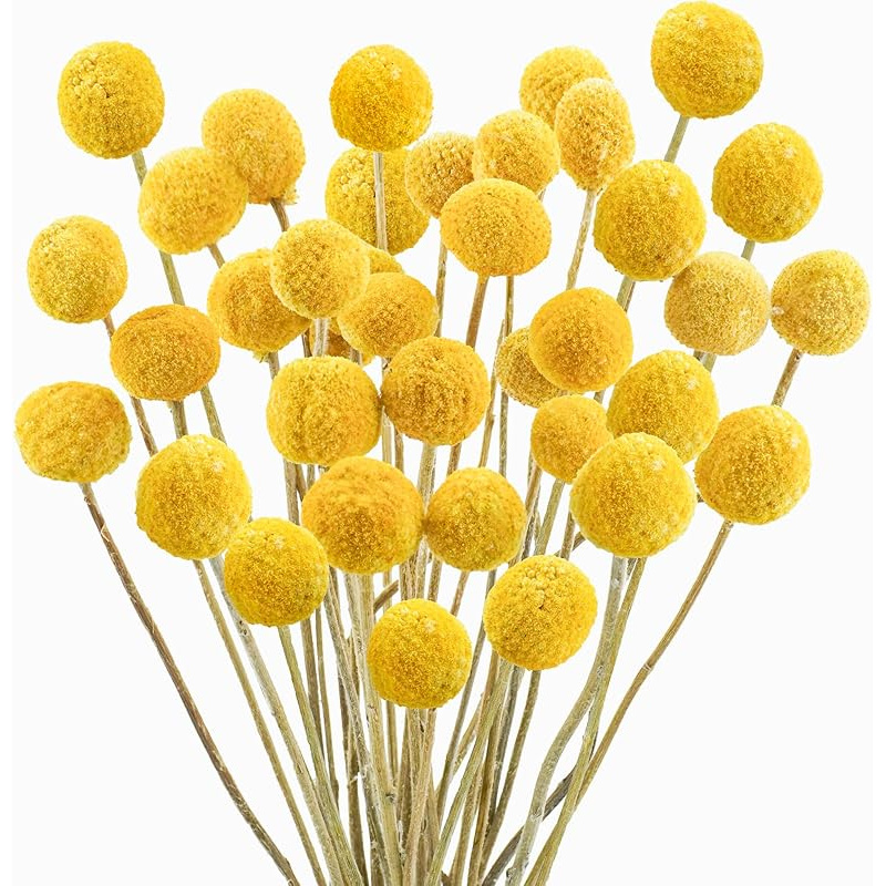 TEMU 28 Pezzi Fiori Secchi Naturali Craspedia Billy - Bouquet di Fiori Conservati Reali, 16 Centrotavola Gialli Boho per Matrimoni, Decorazioni per