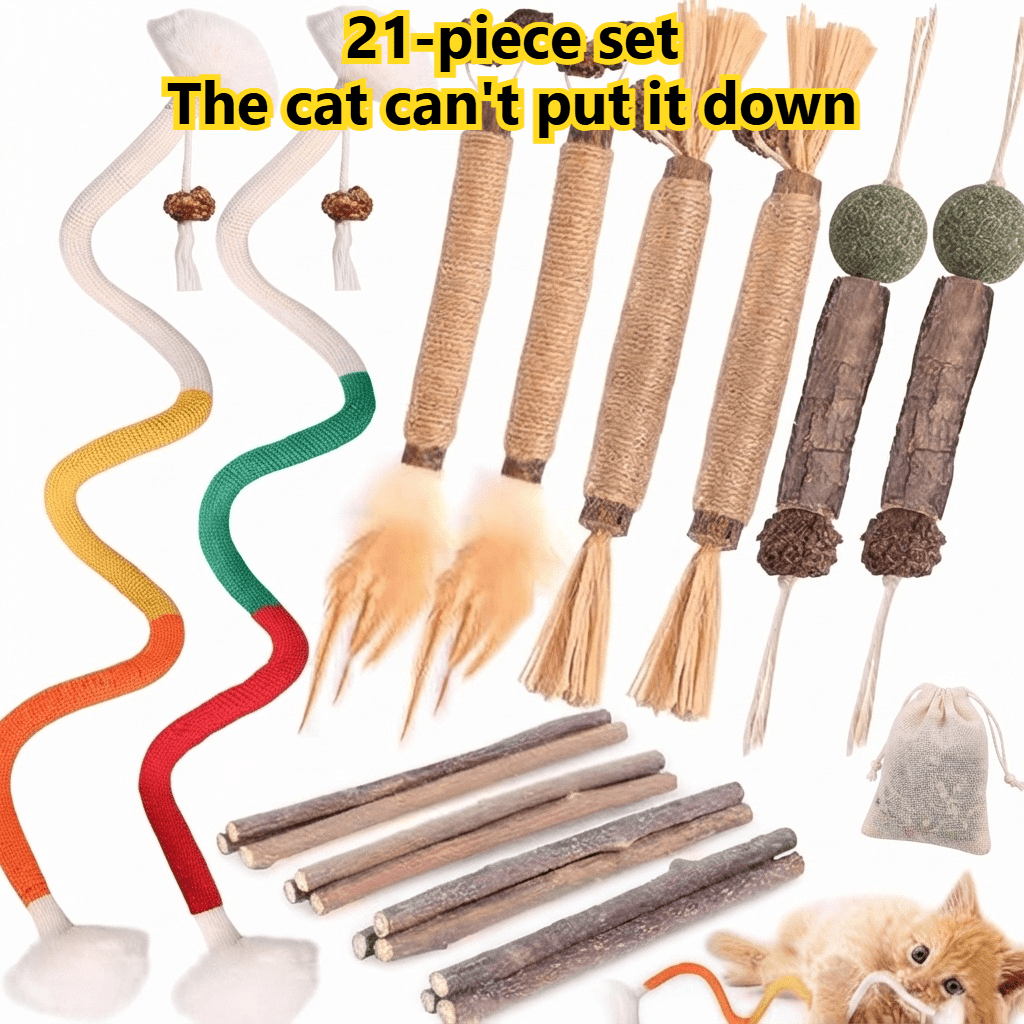 Image of Cat Toy Set 21pcs Pet Style Teeth Cleaning Self-entertainment Toys Indoor Fun And Interaction Suitable For All Cats Lightweight Easy-to- Multiple Play Options Enhance Cat's Joy